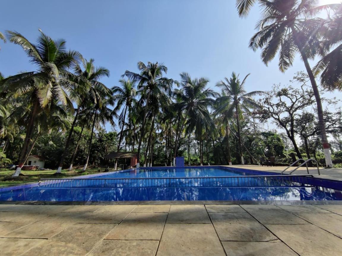 White House Beach Resort, Nagaon Bagian luar foto